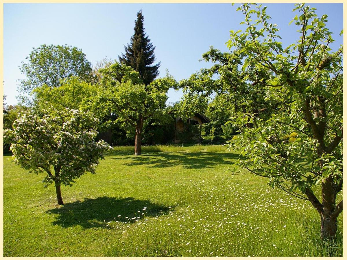 Gastehaus Claudia Bed & Breakfast Bad Abbach Dış mekan fotoğraf